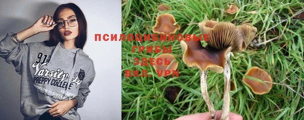 герыч Лагань