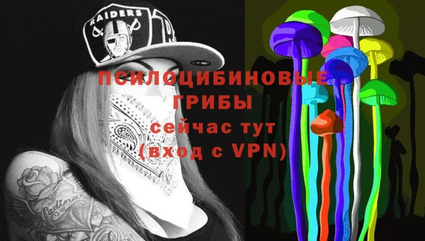 мяу мяу мука Лабытнанги