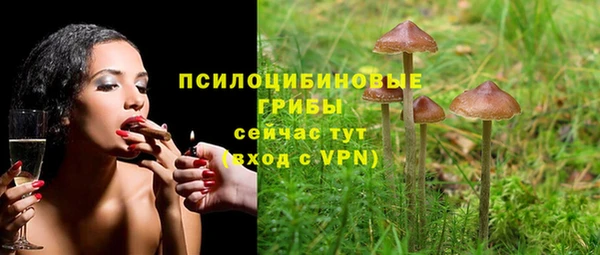 герыч Лагань