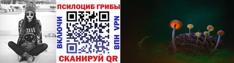 Купить закладки  Отрадный  Псилоцибиновые грибы мухоморы 