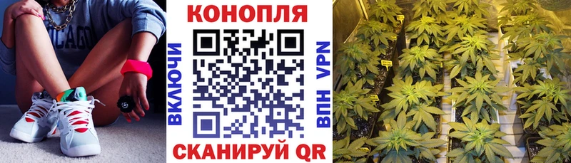 Канабис SATIVA & INDICA  Купить  Отрадный 